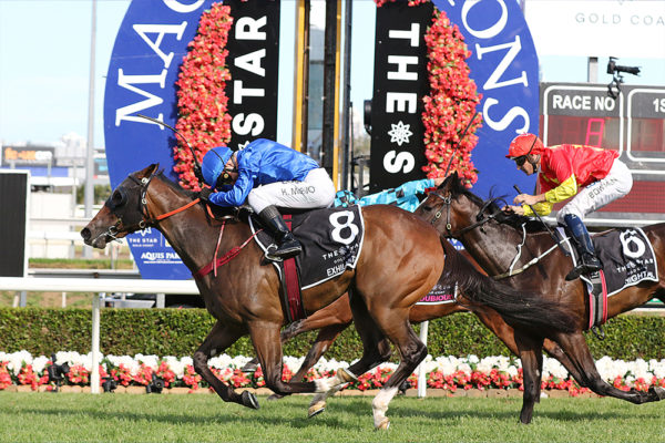 January 17 Horse Racing