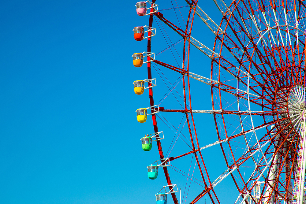 Visit Theme Park with kids